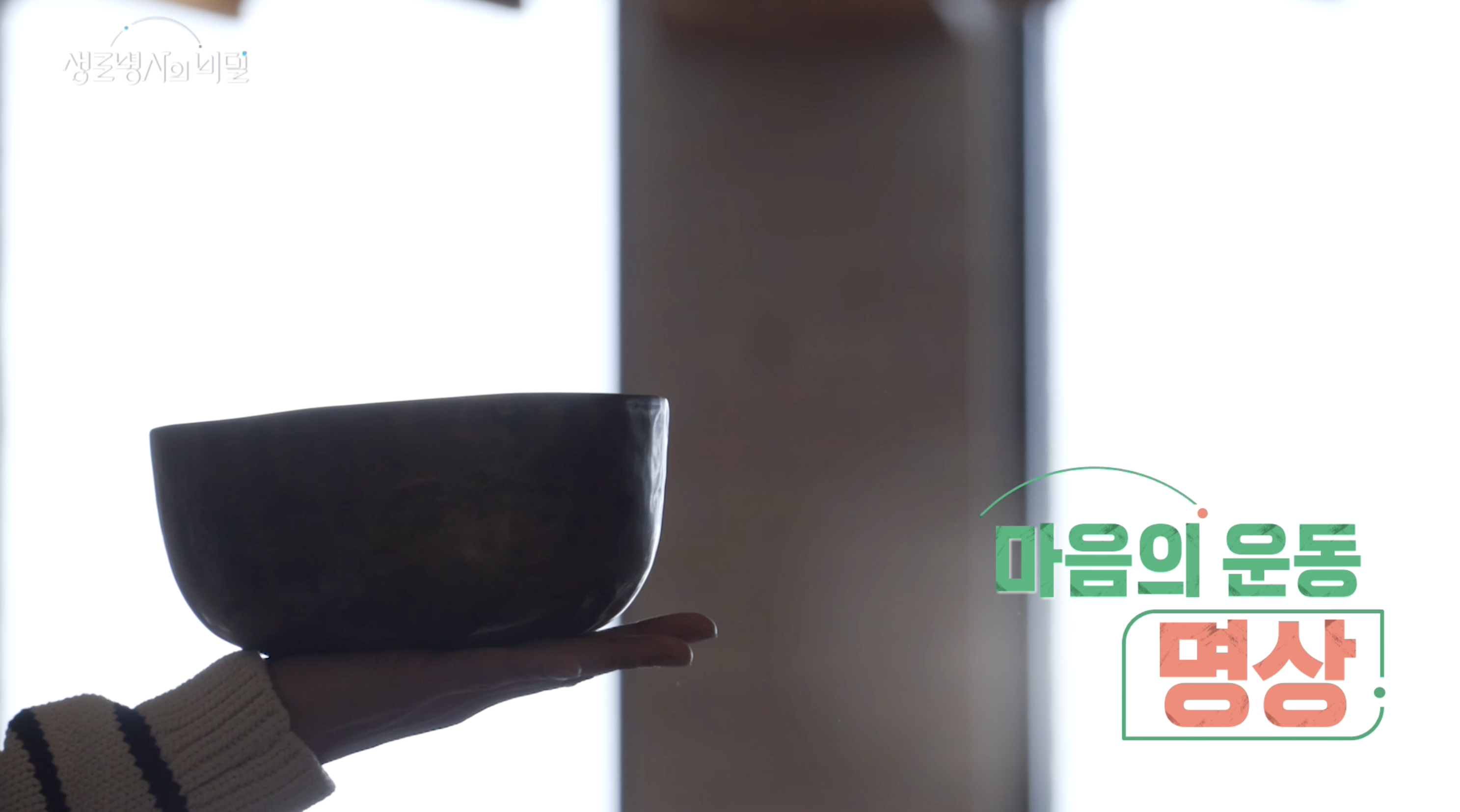 KBS 생로병사의 비밀 마음의 운동 명상 편 — 와이 트라우마 연구소 박도현